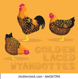 Chicken Golden Laced Wyandottes Cartoon Vector Illustration