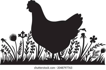 Chicken in grass vector illustration