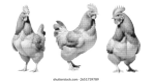 Frango, vetor de meio-tom ilustração galo, pintinho, ovo voando, de pé, em estilo de quadrinhos retro com textura pontilhada arrojada. Imagem em preto e branco isolada em fundo branco. Aves estilizadas.
