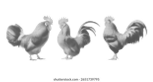 Frango, vetor de meio-tom ilustração galo, pintinho, ovo voando, de pé, em estilo de quadrinhos retro com textura pontilhada arrojada. Imagem em preto e branco isolada em fundo branco. Aves estilizadas.