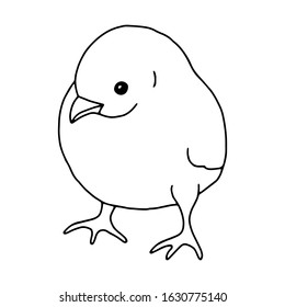 Chicken hand drawn line drawing. Contour drawing.Doodles.Drawing for Easter holiday. Little chicken.The bird home.Vector illustration
