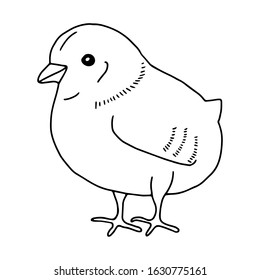 Chicken hand drawn line drawing. Contour drawing.Doodles.Drawing for Easter holiday. Little chicken.The bird home.Vector illustration