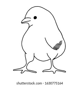 Chicken hand drawn line drawing. Contour drawing.Doodles.Drawing for Easter holiday. Little chicken.The bird home.Vector illustration