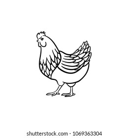 Chicken hand drawn outline doodle icon. Cockerel vector sketch illustration for print, web, mobile and infographics isolated on white background.