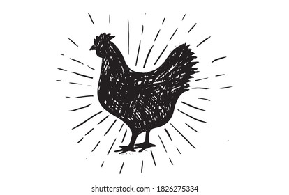 Ilustración vectorial de pollo dibujada a mano.	