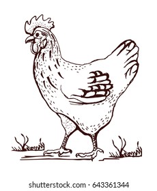 chicken handmade graphics