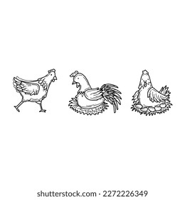chicken handrawn doodle illustrations vector set