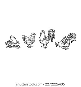 chicken handrawn doodle illustrations vector set