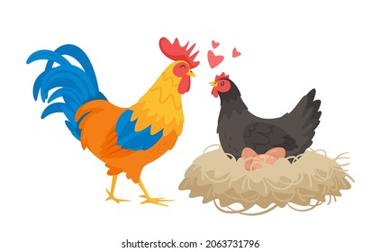 Chicken happy family in love: black hen in a nest, rooster, and eggs. Vector cartoon style illustration isolated on white background. 
