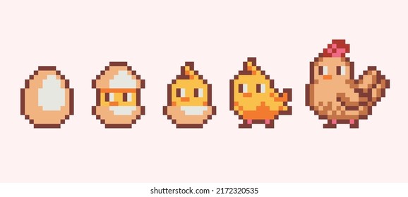 Chicken hatch pixel art set. Newborn chick growing into hen collection. Grow stages. 8 bit sprite. Game development, mobile app.  Isolated vector illustration.