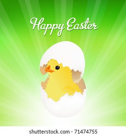 Chicken Hatched From Egg, Isolated On Green Background With Beams, Vector Illustration