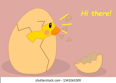 chicken hatched from the egg.baby chicken was born.slogan hi there, vector illustration for t-shirt print,wallpaper,poster and other uses. Can be used for design of cards