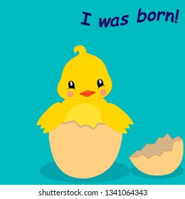 chicken hatched from the egg.baby chicken,slogan i was born.vector illustration for t-shirt print,wallpaper,poster and other uses. Can be used for design of cards