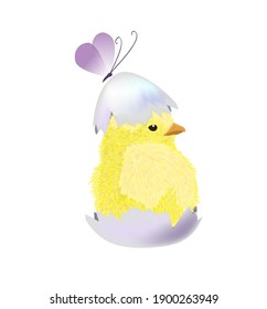 The chicken hatched from the shell. Vector illustration