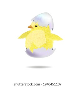 The chicken hatched from the shell. Vector illustration