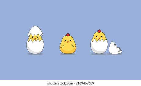 the chicken hatches and the eggs