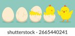 Chicken hatching. Cracked chick egg, hatch eggs and hatched easter chicks. Cracks egg and easter mascot chicken. Newborn bird cartoon vector illustration