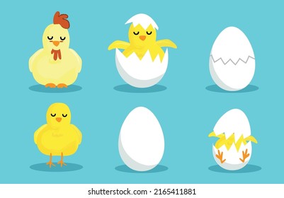 Chicken hatching. Cracked chick egg, hatching eggs and hatched easter chicks Egg mascot chicken and cracking easter.