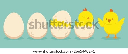 Chicken hatching. Cracked chick egg, hatch eggs and hatched easter chicks. Cracks egg and easter mascot chicken. Newborn bird cartoon vector illustration
