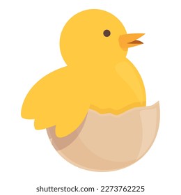 Chicken hatching at easter icon cartoon vector. Chick baby. Cute bird