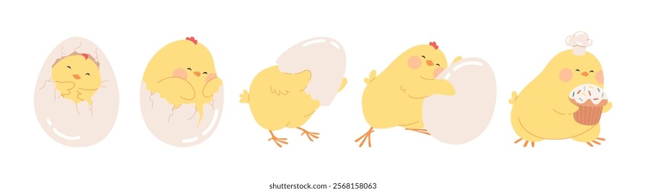 Chicken hatching from egg stages. Cute Easter character bird birth process. Easter yellow newborn little chick hatches from cracked shells. Funny Easter vector chicken illustration for cards, banners.