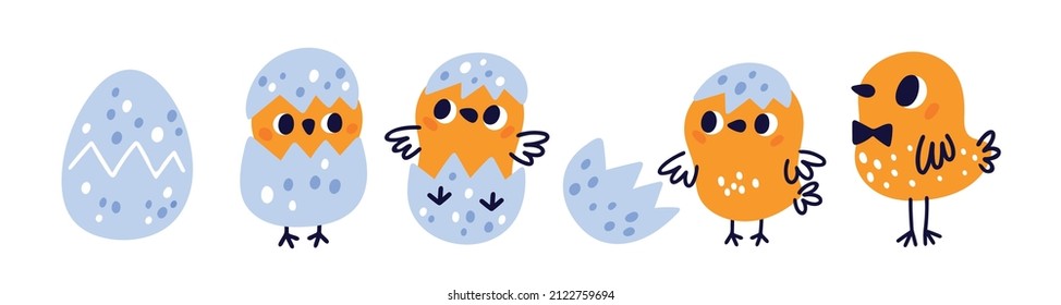 Chicken hatching from eggs. Cartoon baby bird. Birth and development stages. Yellow fluffy nestling. Cracked shell. Animal life cycle. Poultry growth step. Vector newborn