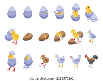 Chicken hatching icons set isometric vector. Chicken egg. Nest baby