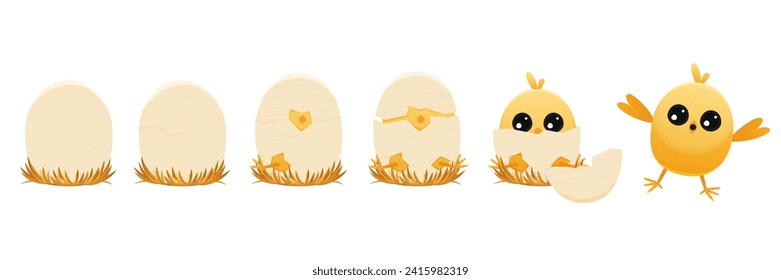 Chicken hatching stages. Cartoon winged chick emerging from egg, domestic farm animal with feathers, summer newborn chicks. Vector flat illustration. Brocken eggshells isolated set