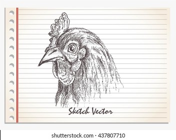chicken head, hand drawn vector on paper isolated