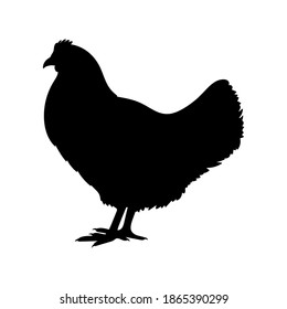 Chicken or hen black silhouette. Farm bird icon. Poultry symbol. Vector illustration.