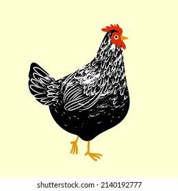 Chicken, hen cartoon drawing vector illustration.Isolated object. Farm bird.