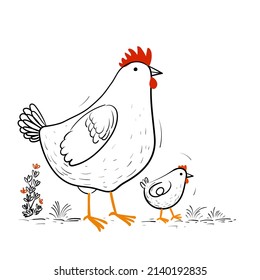Chicken, hen cartoon drawing vector illustration.Isolated object. Farm bird.