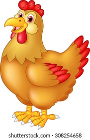 Chicken hen cute posing 