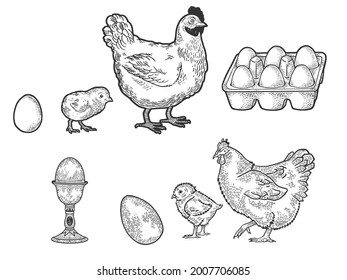 Chicken hen and eggs set line art sketch engraving vector illustration. T-shirt apparel print design. Scratch board imitation. Black and white hand drawn image.