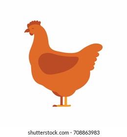 Chicken hen in flat style on white background