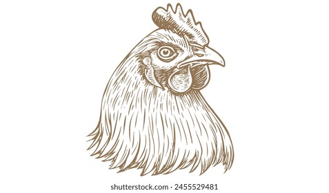 Chicken, hen head. Vintage retro print, chicken sketch ink pencil style drawing, engrave old school. Sketch artwork silhouette head chicken, white background. Side view profile. Vector Illustration