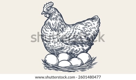 Chicken, hen with nest, eggs. Sketch artwork silhouette chicken, hen with nest, eggs. Vintage retro print, chicken, hen eggs sketch ink pencil style drawing, engrave old school. Vector Illustration