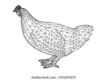 Vector Illustration Hand Drawn Chickens Beautiful Stock Vector (Royalty ...