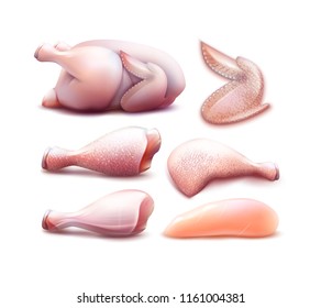 Chicken hen raw meat set with different parts of whole wings fillet thigh legs with skin and without vector realistic illustration isolated on white background