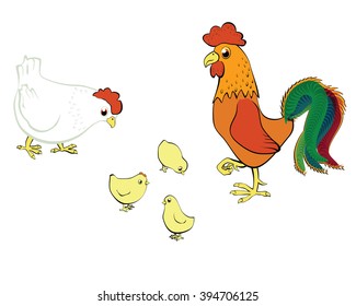 chicken hen and rooster
