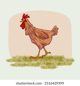 Chicken, hen, rooster character hand drawing vector illustration. Poultry farm birds animal collection on vintage style element.