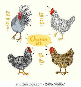 Chicken, hen, rooster, cock poultry farm animal character vector illustration. Rough line art, hand drawing domestic bird collection.