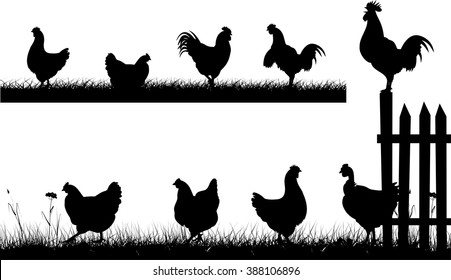 chicken, hen, rooster - silhouettes