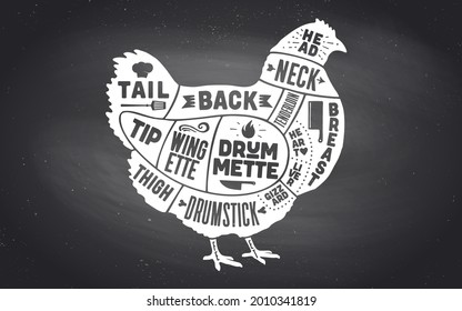 Chicken, hen. Scheme, diagram, chart chicken butcher guide. Vintage retro print, art typography. Black-white chalk graphic design on chalkboard. Poster hen for Butcher meat shop. Vector Illustration