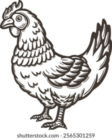 Chicken hen side view standing bird poultry farm feathered animal engraving hand drawn illustration black white isolated vintage line art sketch silhouette graphic style poster label web
