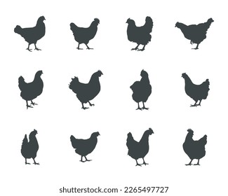 Chicken hen silhouette, Hen chicken silhouette set, Chicken silhouettes