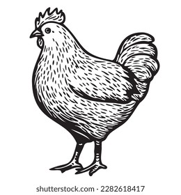 Chicken Hen standing sketch hand drawn in doodle style illustration