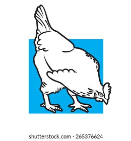 Chicken. Hen. Vector. Black lines. White silhouette. Blue square..
Series of livestock vector images.