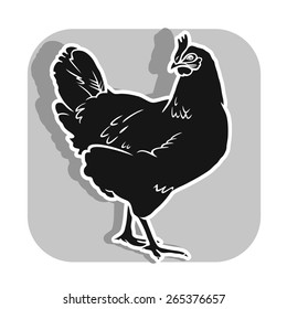 Chicken. Hen. Vector. Black silhouette. Gray background.
Series of livestock vector images.