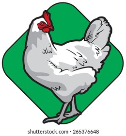 Chicken. Hen. Vector. Green background.
Series of livestock vector images.